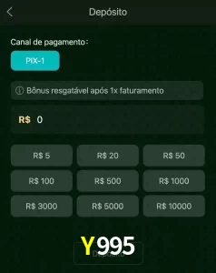 deposits Y995