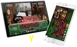 Y995